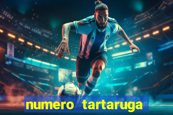 numero tartaruga jogo do bicho